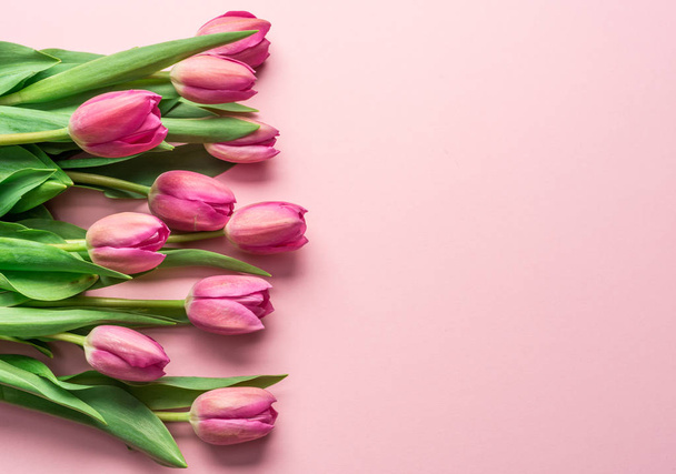 Delicate pink tulips on lightpink background.  Top view. - Foto, Bild