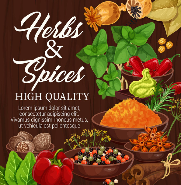 Herbs, spices, food condiments on wood background - Vector, Image