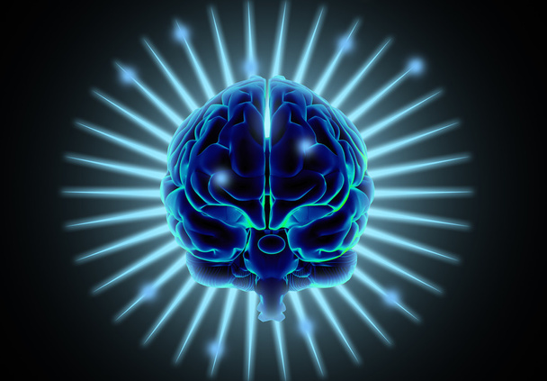 Cérebro humano informatizado
 - Foto, Imagem