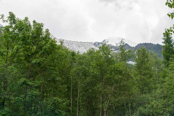 Forest near Cascade du Dard - a fantastic waterfallunder Mont-Blanc, Haute-Savoie, France - Zdjęcie, obraz