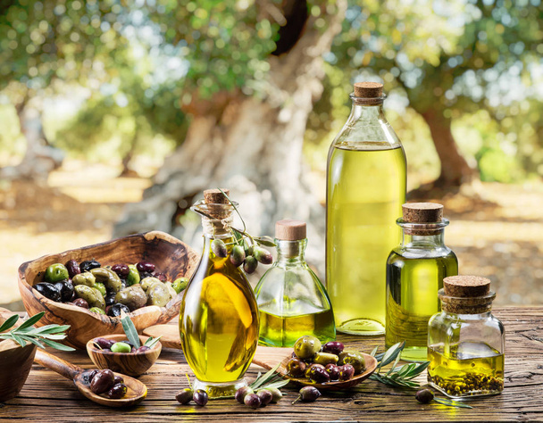 Olive oil and berries are on the wooden table under the olive tree. - Фото, зображення