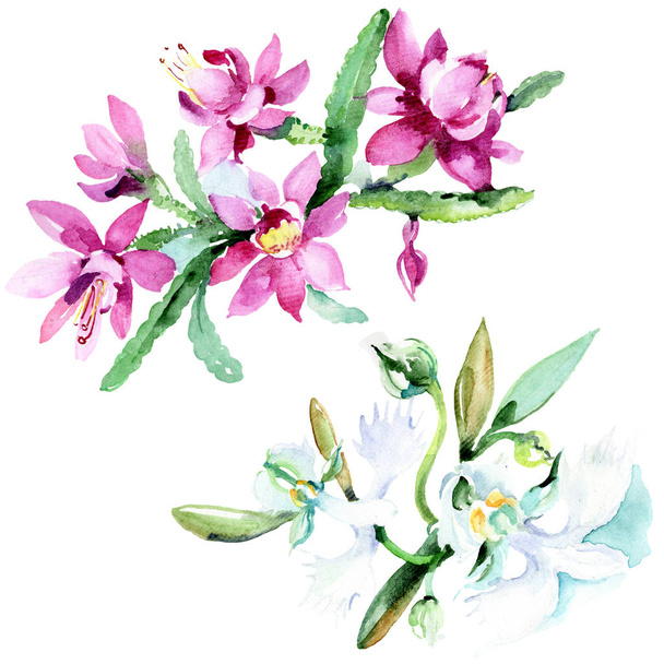Krásné akvarel květy na bílém pozadí. Akvarel výkresu aquarelle ilustrace. Izolované kytici květin obrázek prvku. - Fotografie, Obrázek