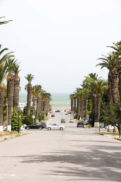 Rue Dag Hammarskjoeld Carthage-Hannibal Tunis Tunisia - Photo, Image