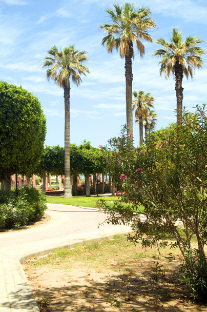 tuinen wandelpad in waterkant oasis park el kantaoui sousse Tunesië - Foto, afbeelding