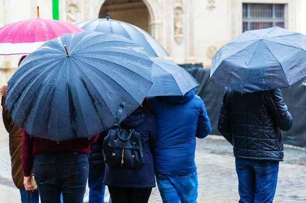 menigte van mensen met paraplu's onderweg in de stad - Foto, afbeelding