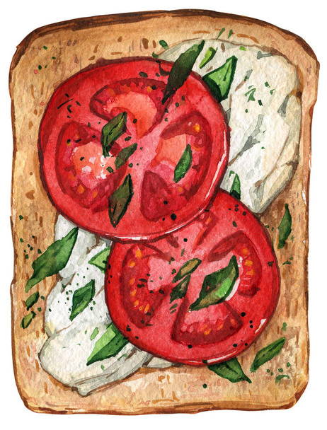 Cibo sano Sandwich pomodoro formaggio pane acquerello
 - Foto, immagini