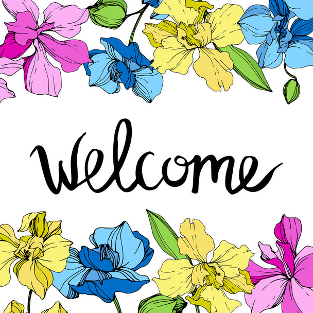 Yellow, blue and pink orchids. Engraved ink art. Floral borders. Welcome handwriting monogram calligraphy. - Vector, Image