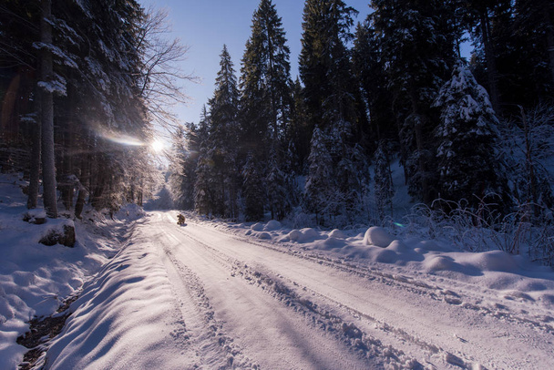 rural road on beatiful winter day with fresh snow - Foto, immagini