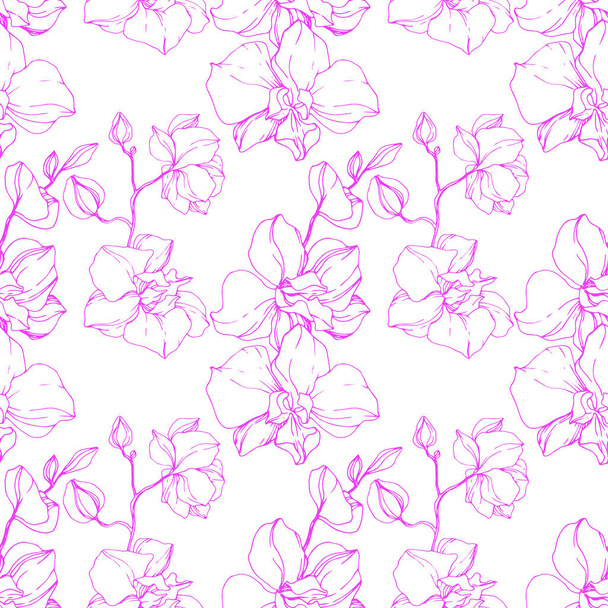 Piękne różowe kwiaty orchidei. Bezszwowe tło wzór. Tkanina tapeta tekstura wydruku. Grawerowane atrament sztuki. - Wektor, obraz