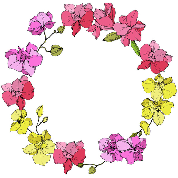 Beautiful pink and yellow orchid flowers. Engraved ink art. Frame floral wreath on white background. - Vector, Image