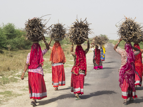 vrouwen dragen van takkenbossen op het hoofd. - Foto, afbeelding