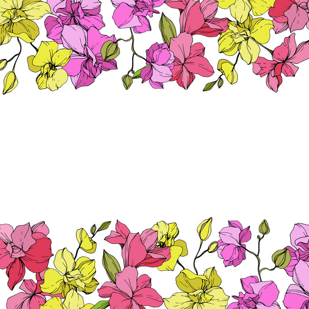 Beautiful pink and yellow orchid flowers. Engraved ink art. Floral borders on white background. - ベクター画像