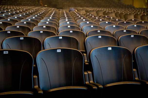 Koltuk numaralı salonda şov için hazır boş rahat kol sandalye - Fotoğraf, Görsel