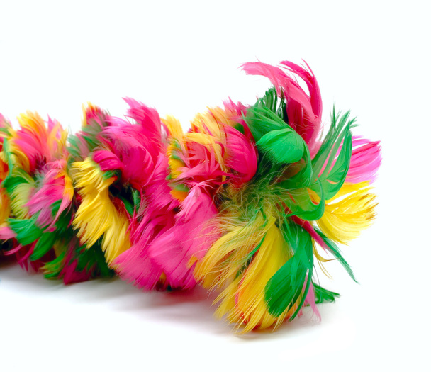Color feathers - 写真・画像