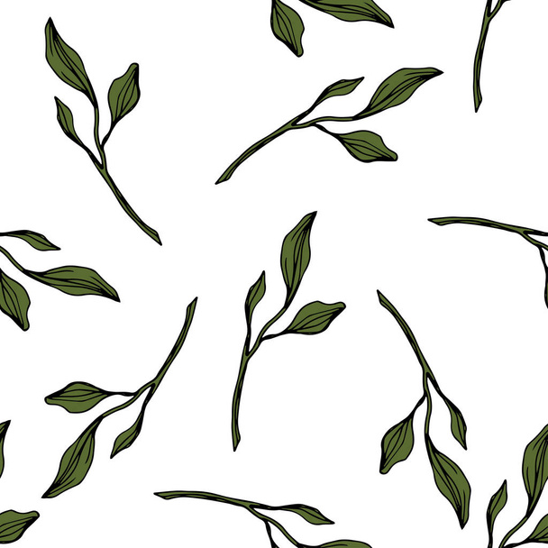 Vector. Green leaves botanical garden floral foliage. Engraved ink art. Seamless pattern on white background. Fabric wallpaper print texture. - Vector, Image