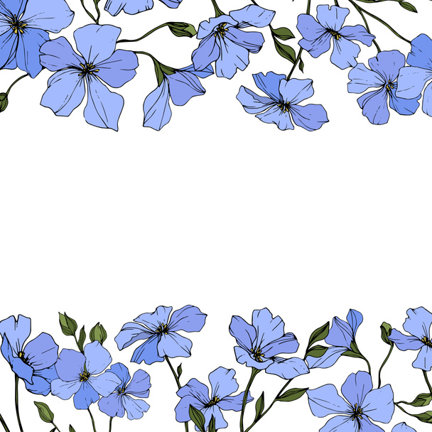 Vector. Flores de lino azul con hojas verdes y brotes aislados sobre fondo blanco. Arte de tinta grabada
.  - Vector, imagen