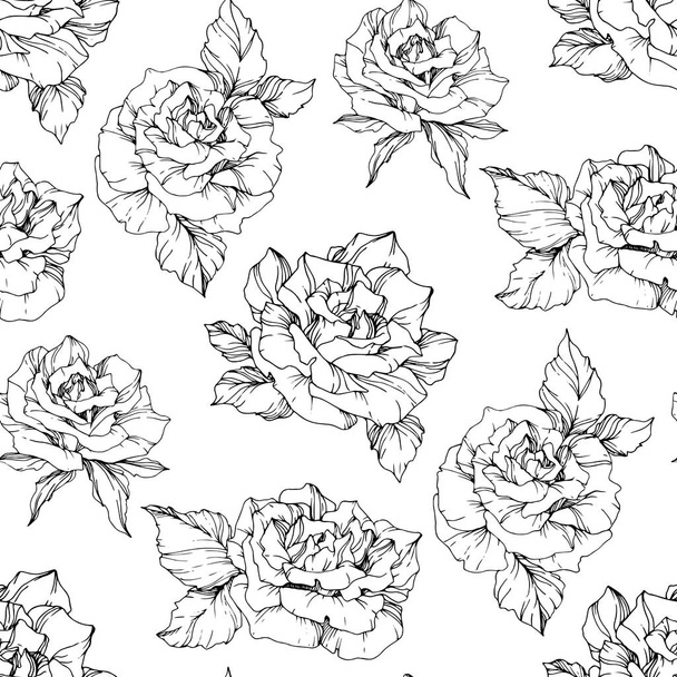 Vector Roses. Black and white engraved ink art. Seamless background pattern. Fabric wallpaper print texture on white background. - Vector, Image
