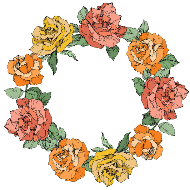 Vector rose flowers floral wreath on white background. Yellow, orange and coral roses engraved ink art. - Vector, Image