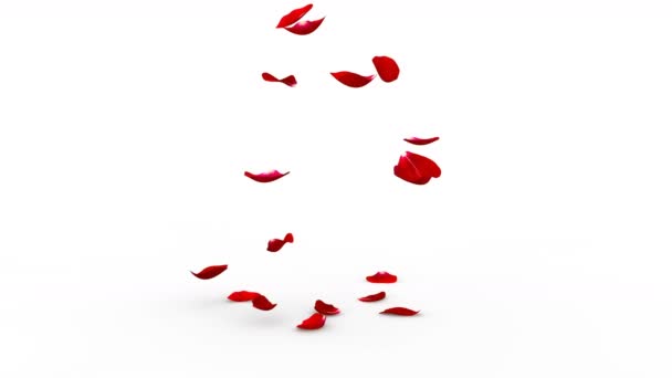De heldere rode bloemblaadjes van rozen op witte vloer vallen. Alfa masker opgenomen. Kwaliteit 4k video - Video