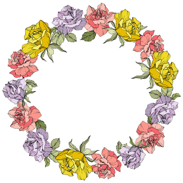 Vector. Rose flowers floral wreath on white background. Yellow, purple and pink roses engraved ink art. - Vecteur, image