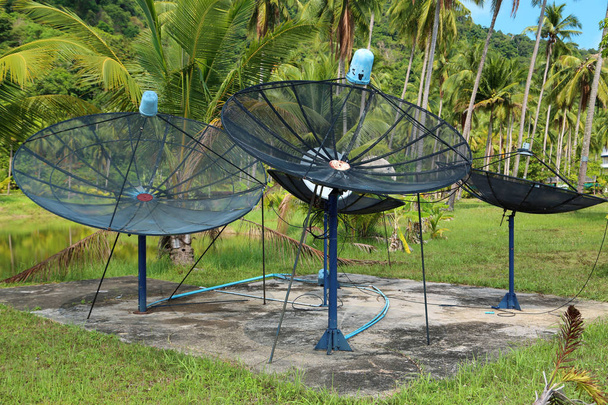 Antenas parabólicas em madeira entre palmeiras na ilha de Koh-Chang, Thailan
 - Foto, Imagem