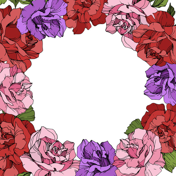 Vector. Rose flowers floral wreath on white background. Red, purple and pink roses engraved ink art. - Vector, Image