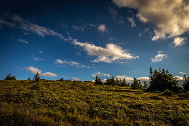 Cima di Velky Keprnik con pini, campo di erba verde e cielo nuvoloso blu scuro vicino a Ramzova, Jeseniky, Repubblica Ceca
 - Foto, immagini