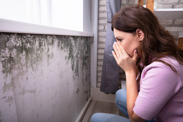 Side View Of A Shocked Young Woman Looking At Mold On Wall - 写真・画像