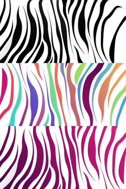 Zebra desen ayarla, vektör çizim eps10, çizgili arka plan, - Vektör, Görsel