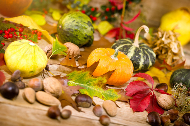 Abóbora, abóbora, abobrinha, cabaça - colheita de outono, ação de graças de outono na mesa
 - Foto, Imagem