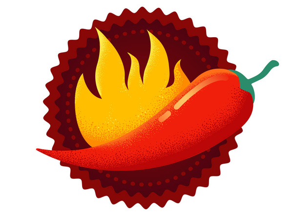 Vector chilli pepper in retro style. Vector vintage emblem with redchili pepper with flame. Chilli with fire logo - Вектор, зображення