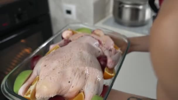 Young woman putting delicious, roasted goose in the modern oven - Imágenes, Vídeo
