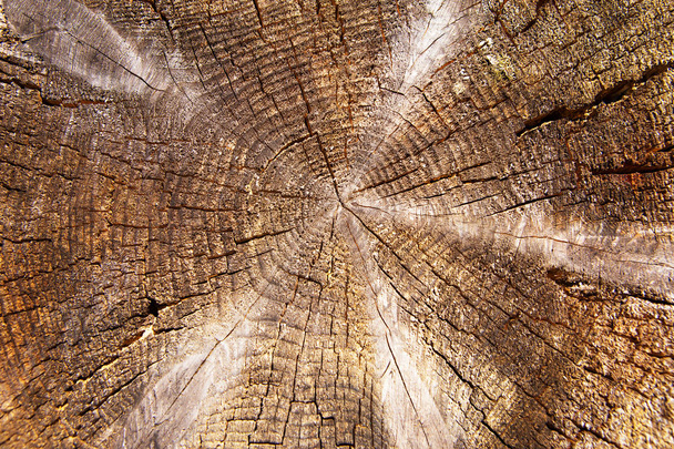 Старый круг деревянный коричневый фон, крупным планом
. - Фото, изображение