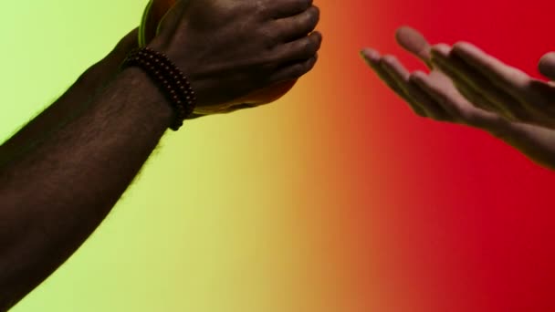 Afroamerican は、赤と黄色の背景に分離手白人男性に明るく、ジューシーな完熟カボチャを与えます。在庫があります。手から手、健康的な有機食品のコンセプトにカボチャを渡す. - 映像、動画
