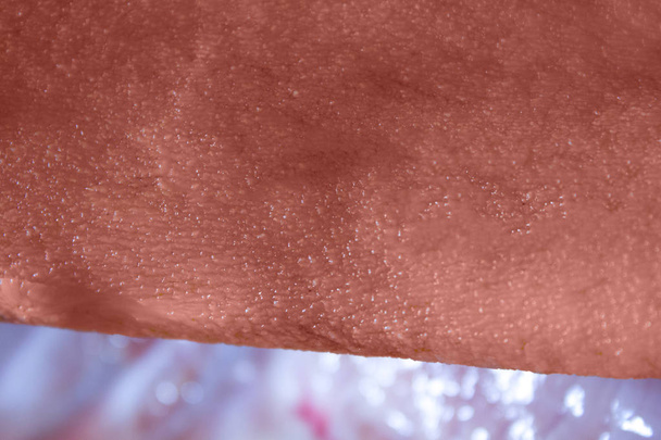 wieprzowina skóry skóra tło - Zdjęcie, obraz