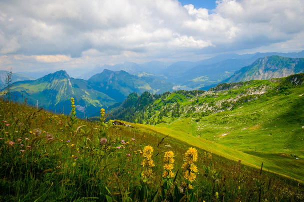 Typical summer mountains Switzerland landscape - Фото, зображення