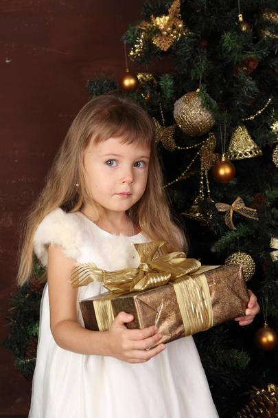 A girl near the Christmas tree holds a gift - Foto, Imagen
