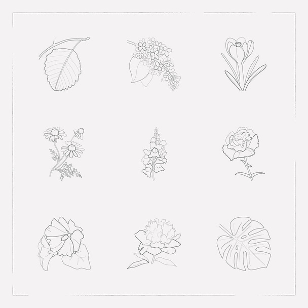 Set di icone botaniche stile linea simboli con malva, croco, camomilla e altre icone per il vostro web mobile app logo design
. - Vettoriali, immagini