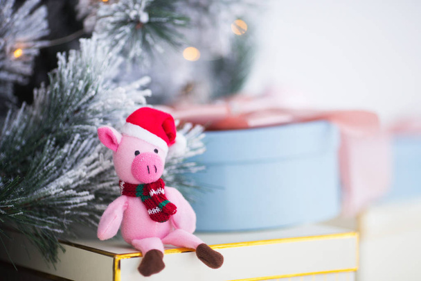 Милая игрушечная свинья в шляпе Санты и шарфе сидит рядом с елкой и подарочной коробкой. Символ китайского Нового года
. - Фото, изображение