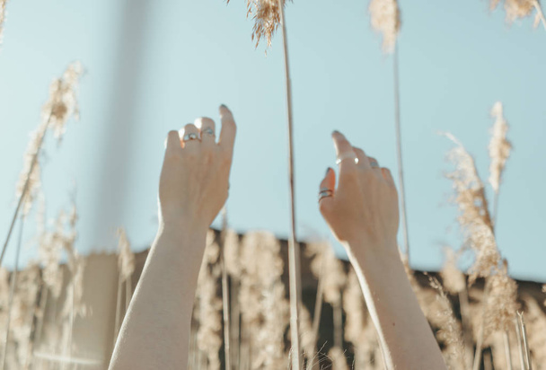 hands of the girl are lifted to the sky among yellow reeds against the background of the mountain and the blue sky - Photo, Image