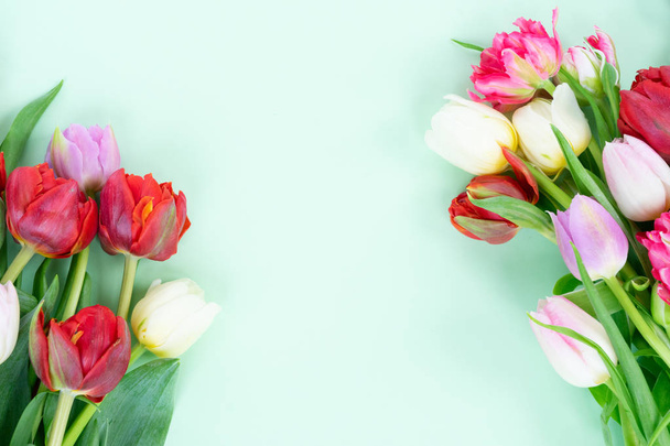 Fresh tulips flowers - Fotografie, Obrázek