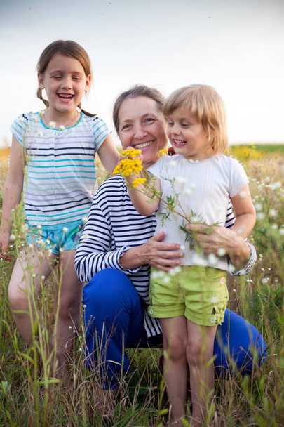  beautiful grandmother with two granddaughters walking in  summer field .  - Foto, imagen