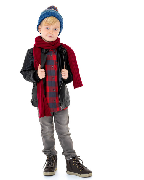 Little boy in a hat and scarf. - Фото, изображение