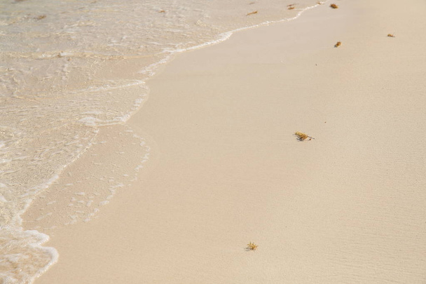 praia de areia e água do mar com espaço de cópia para o seu texto ou imagem
. - Foto, Imagem