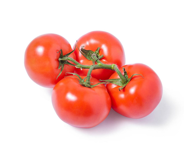 Olgun kırmızı domates izole beyaz zemin üzerine dalı - Fotoğraf, Görsel