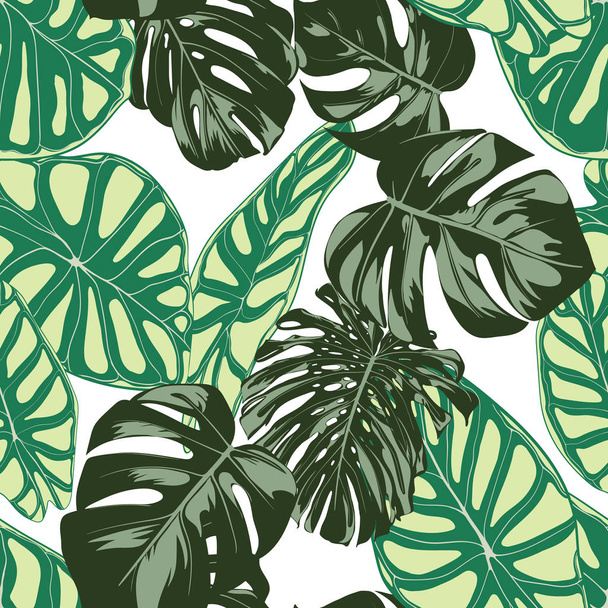 Seamless Exotic Pattern with Tropical Plants. Vector Background with Hand Draw Monstera Palm Leaves. Bright Rapport for Cloth, Textile Design. Jungle Foliage. Seamless Tropical Pattern with Alocasia. - Вектор, зображення