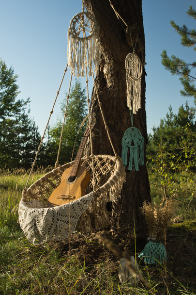 Старая гитара и мечтатели на сосновой ветке летом
 - Фото, изображение