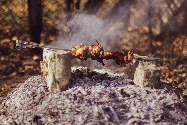 Shish kebab on improvisoitu uuni tiilestä - Valokuva, kuva