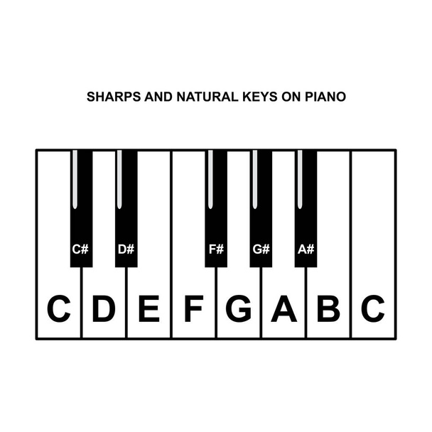 Фортепіанні акорди або діаграма нот клавіш піаніно на білому фоні Векторні ілюстрації
 - Вектор, зображення