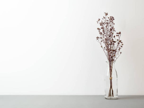 Μπουκέτο από αποξηραμένα και μαραμένα καφετιά λουλούδια γυψοφύλλι σε γυάλινο μπουκάλι στο γκρι πάτωμα και λευκό φόντο με αντίγραφο χώρου - Φωτογραφία, εικόνα